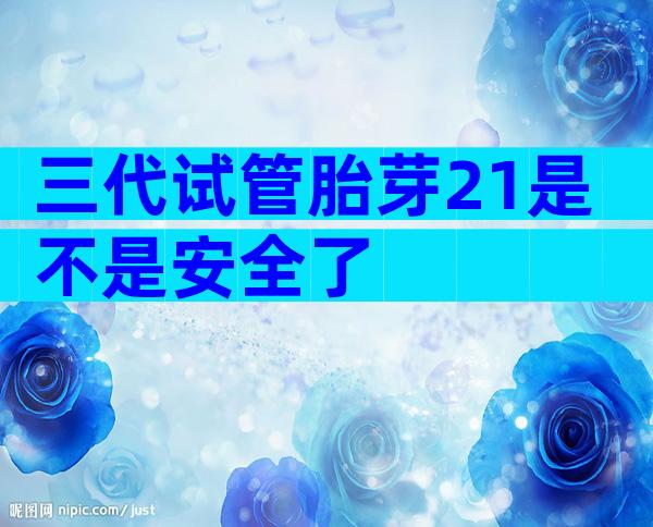 三代试管胎芽21是不是安全了