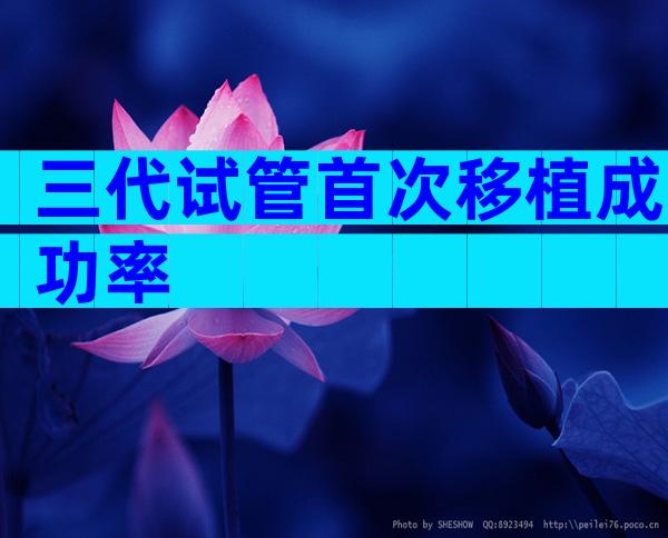 三代试管首次移植成功率