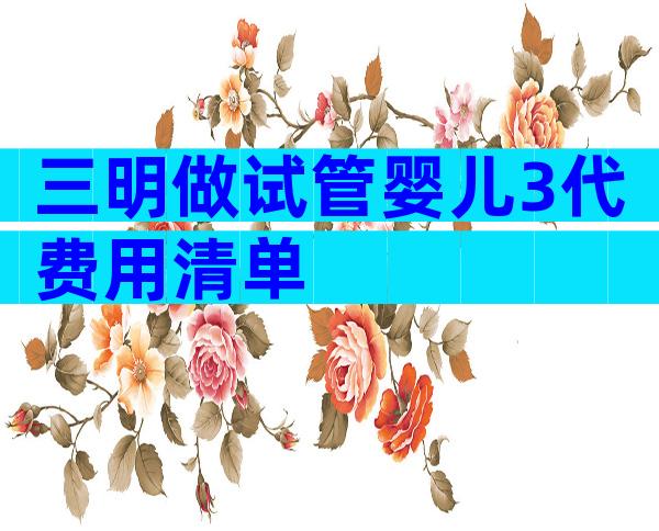 三明做试管婴儿3代费用清单