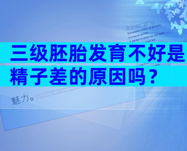 三级胚胎发育不好是精子差的原因吗？