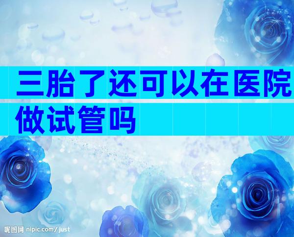三胎了还可以在医院做试管吗