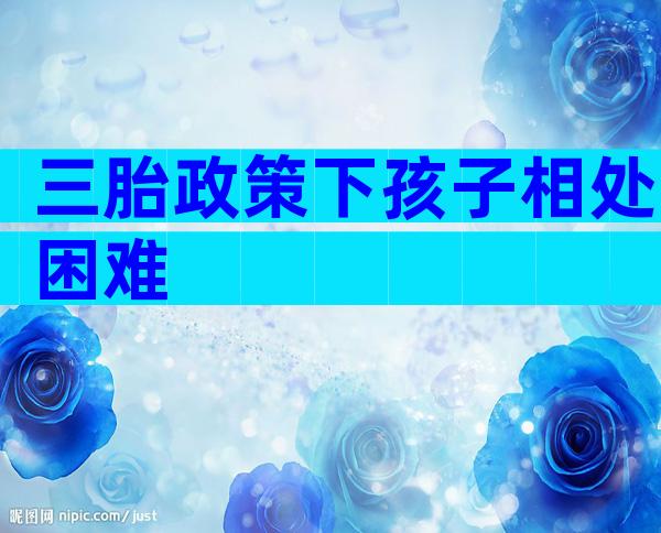 三胎政策下孩子相处困难