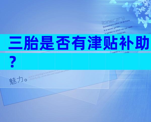 三胎是否有津贴补助？