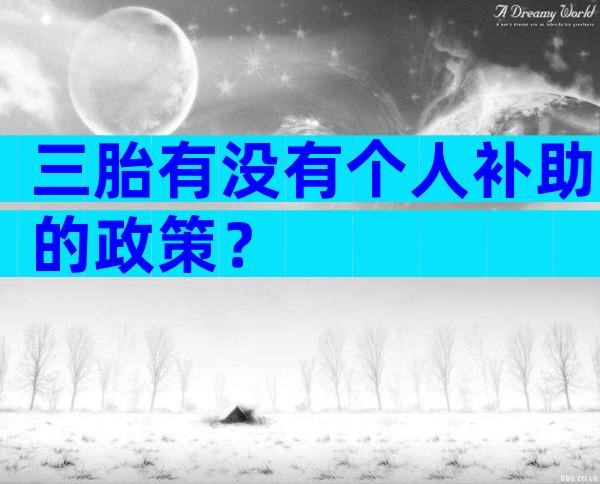 三胎有没有个人补助的政策？