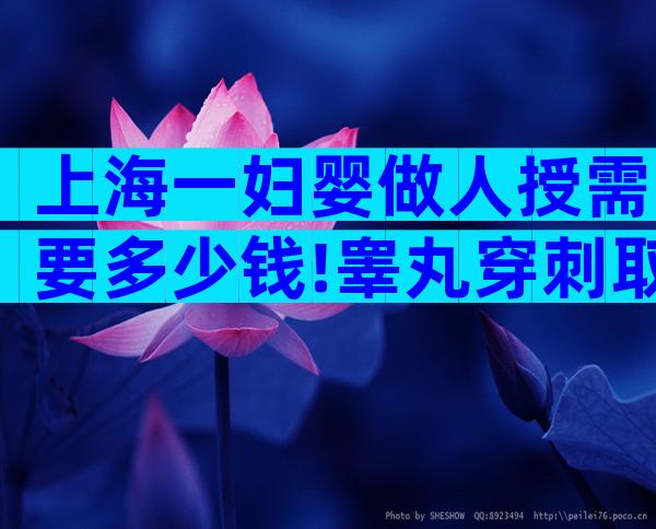 上海一妇婴做人授需要多少钱!睾丸穿刺取精平均费用1500