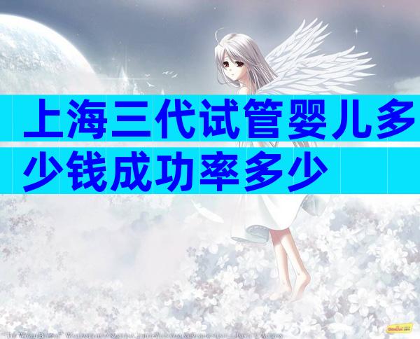 上海三代试管婴儿多少钱成功率多少