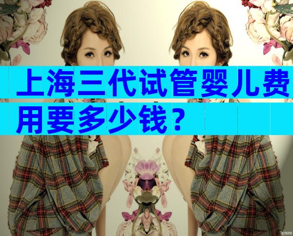 上海三代试管婴儿费用要多少钱？