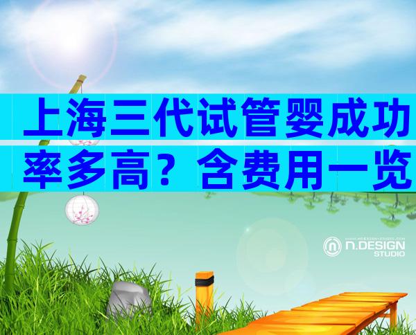 上海三代试管婴成功率多高？含费用一览