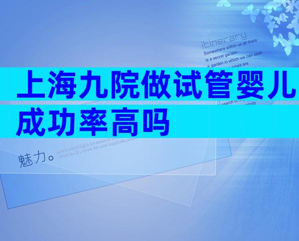 上海九院做试管婴儿成功率高吗