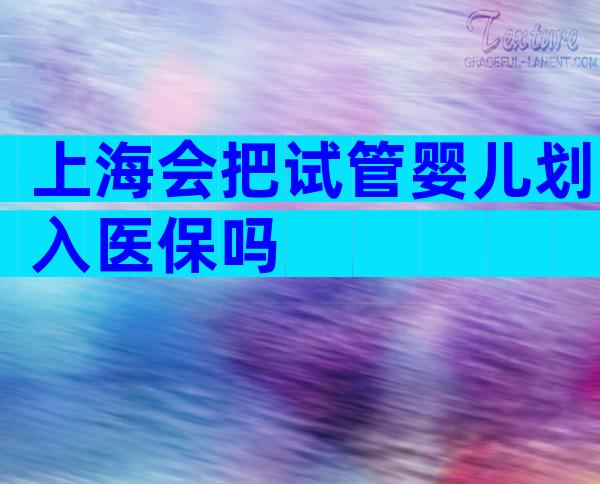 上海会把试管婴儿划入医保吗
