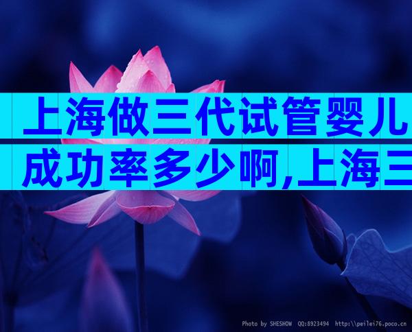 上海做三代试管婴儿成功率多少啊,上海三代试管婴儿流程步骤