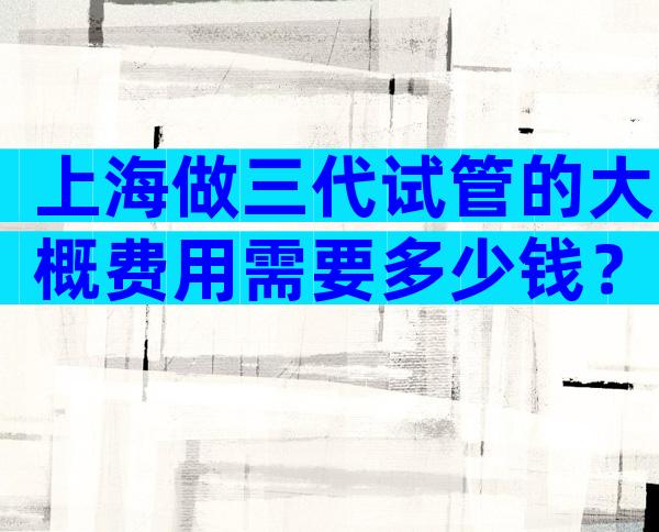 上海做三代试管的大概费用需要多少钱？