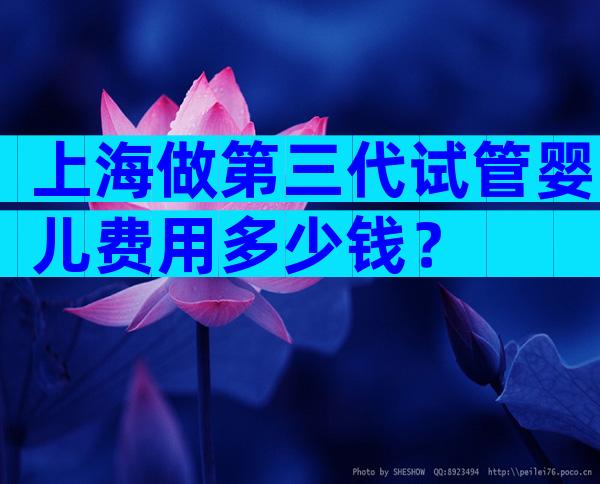 上海做第三代试管婴儿费用多少钱？
