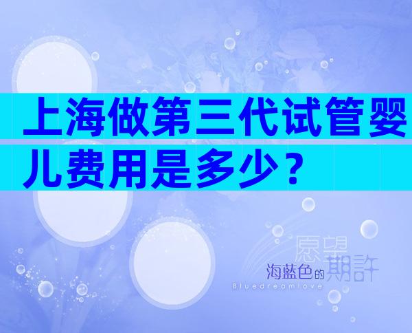上海做第三代试管婴儿费用是多少？