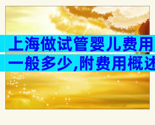 上海做试管婴儿费用一般多少,附费用概述
