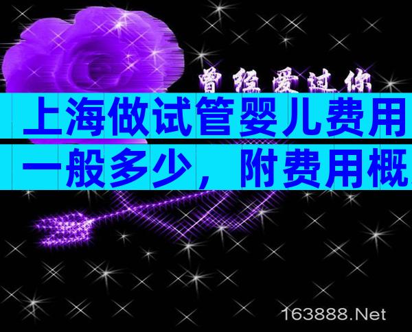 上海做试管婴儿费用一般多少，附费用概述