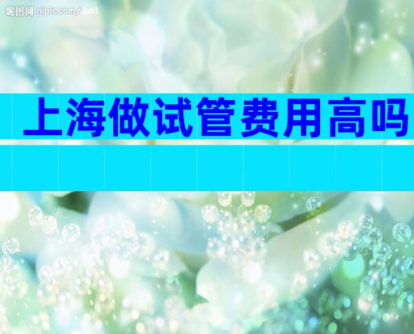 上海做试管费用高吗