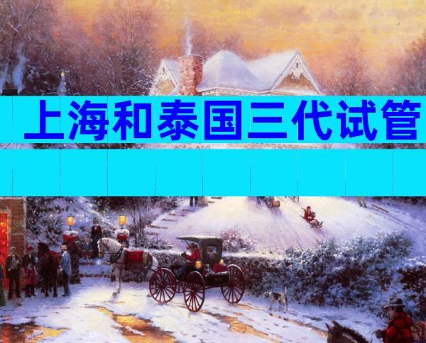 上海和泰国三代试管
