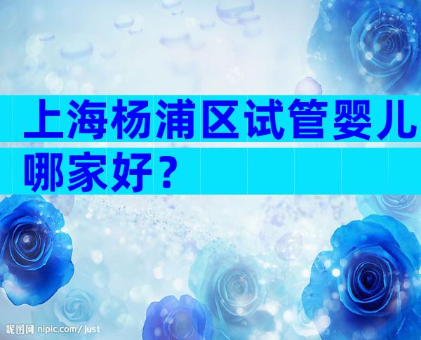 上海杨浦区试管婴儿哪家好？