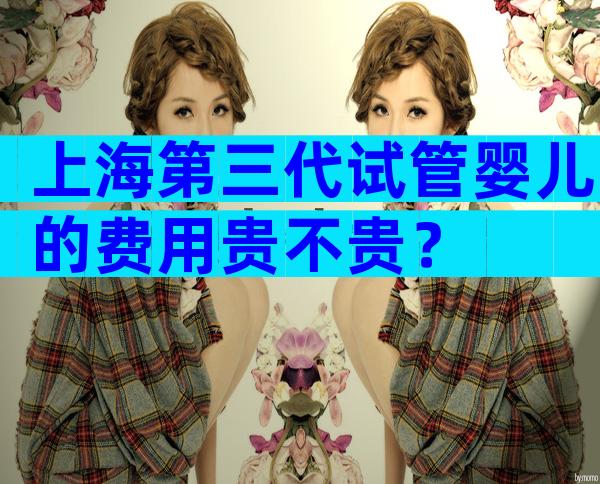 上海第三代试管婴儿的费用贵不贵？