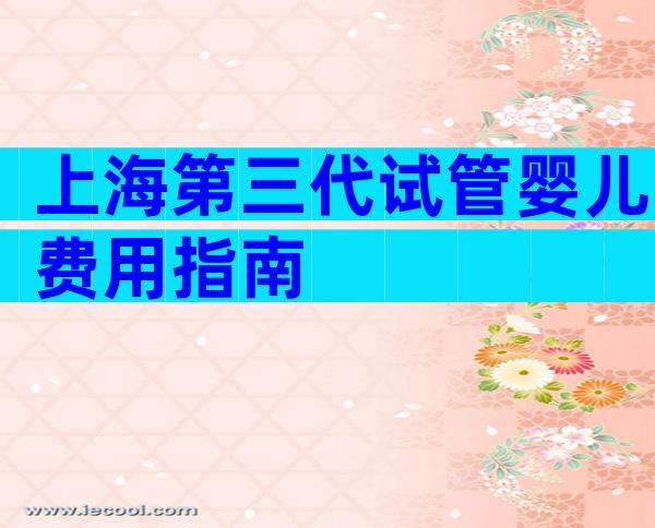 上海第三代试管婴儿费用指南