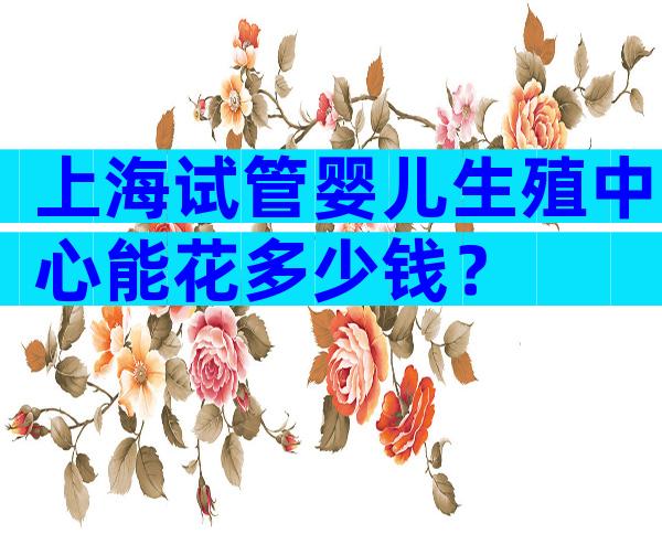 上海试管婴儿生殖中心能花多少钱？