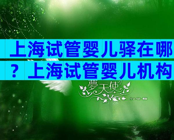 上海试管婴儿驿在哪？上海试管婴儿机构