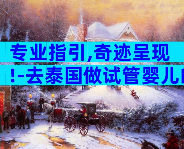 专业指引,奇迹呈现!-去泰国做试管婴儿的全部过程如下: