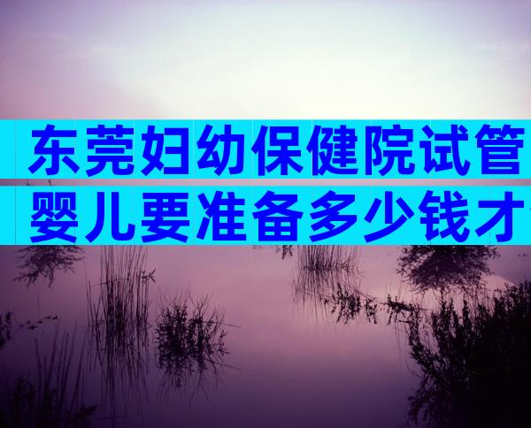 东莞妇幼保健院试管婴儿要准备多少钱才合适？