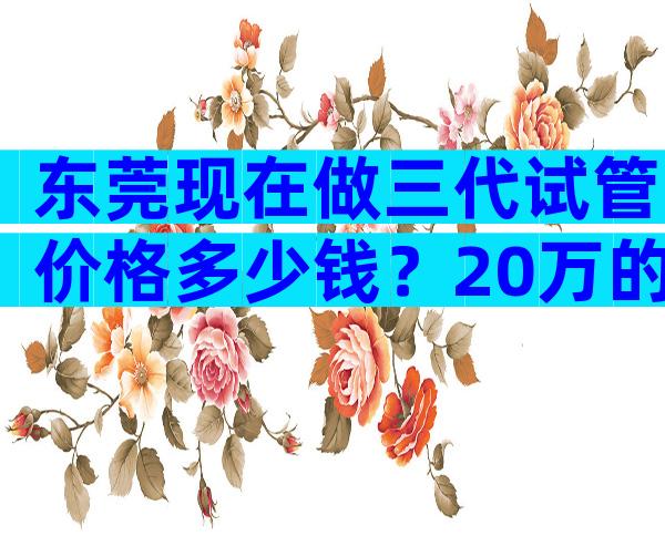 东莞现在做三代试管价格多少钱？20万的费用够吗？