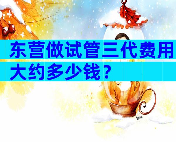 东营做试管三代费用大约多少钱？