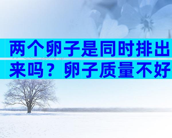 两个卵子是同时排出来吗？卵子质量不好会怀孕吗？