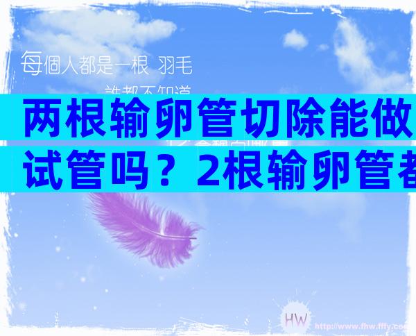 两根输卵管切除能做试管吗？2根输卵管都切除以后还能生孩子吗？