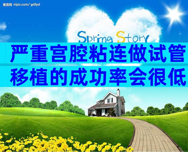 严重宫腔粘连做试管移植的成功率会很低吗？