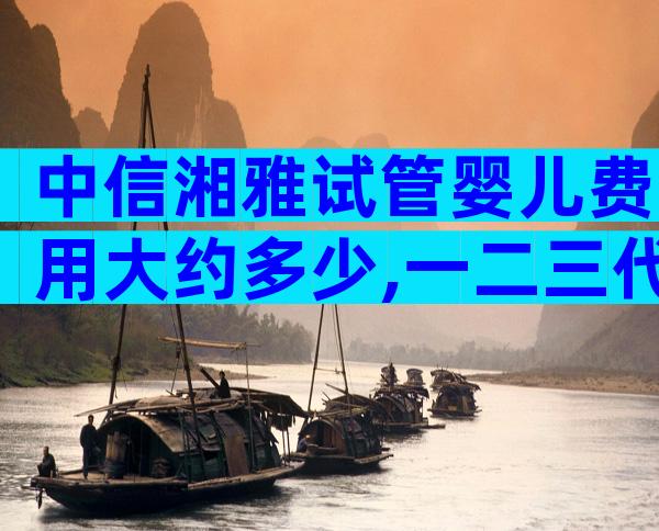 中信湘雅试管婴儿费用大约多少,一二三代收费项目全在里面