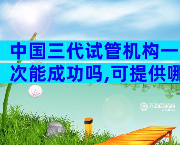 中国三代试管机构一次能成功吗,可提供哪些技术