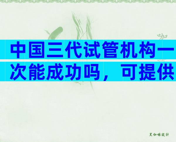 中国三代试管机构一次能成功吗，可提供哪些技术