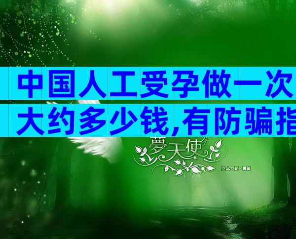 中国人工受孕做一次大约多少钱,有防骗指南吗