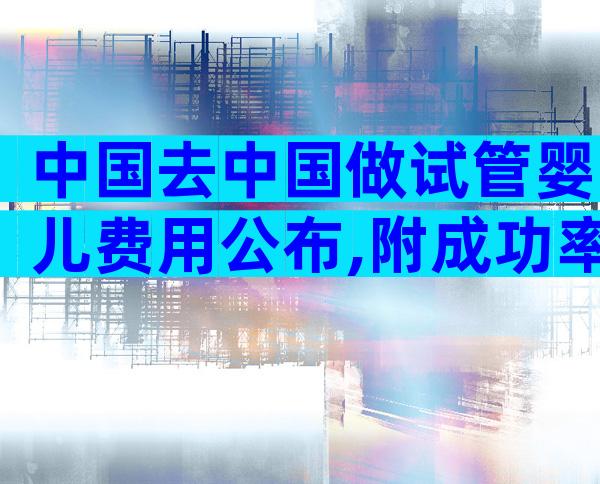 中国去中国做试管婴儿费用公布,附成功率参考