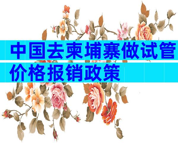 中国去柬埔寨做试管价格报销政策