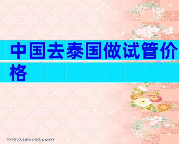 中国去泰国做试管价格
