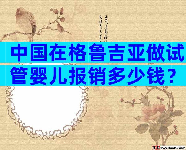 中国在格鲁吉亚做试管婴儿报销多少钱？