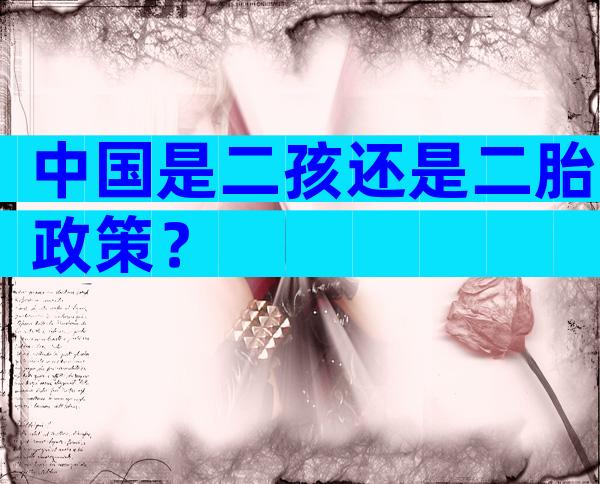 中国是二孩还是二胎政策？