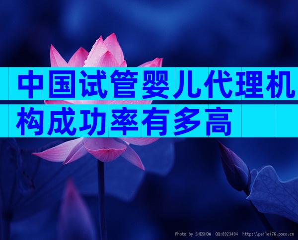 中国试管婴儿代理机构成功率有多高