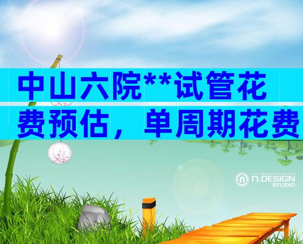 中山六院**试管花费预估，单周期花费不超过6万