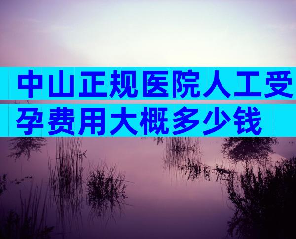 中山正规医院人工受孕费用大概多少钱