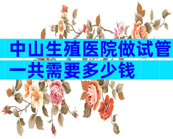 中山生殖医院做试管一共需要多少钱