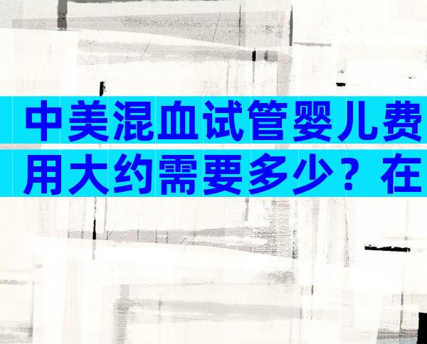 中美混血试管婴儿费用大约需要多少？在国内能不能做