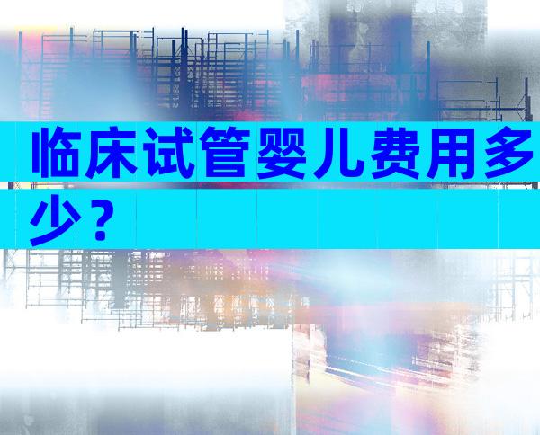 临床试管婴儿费用多少？