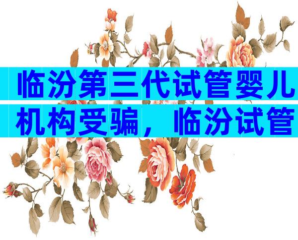 临汾第三代试管婴儿机构受骗，临汾试管医院好吗？